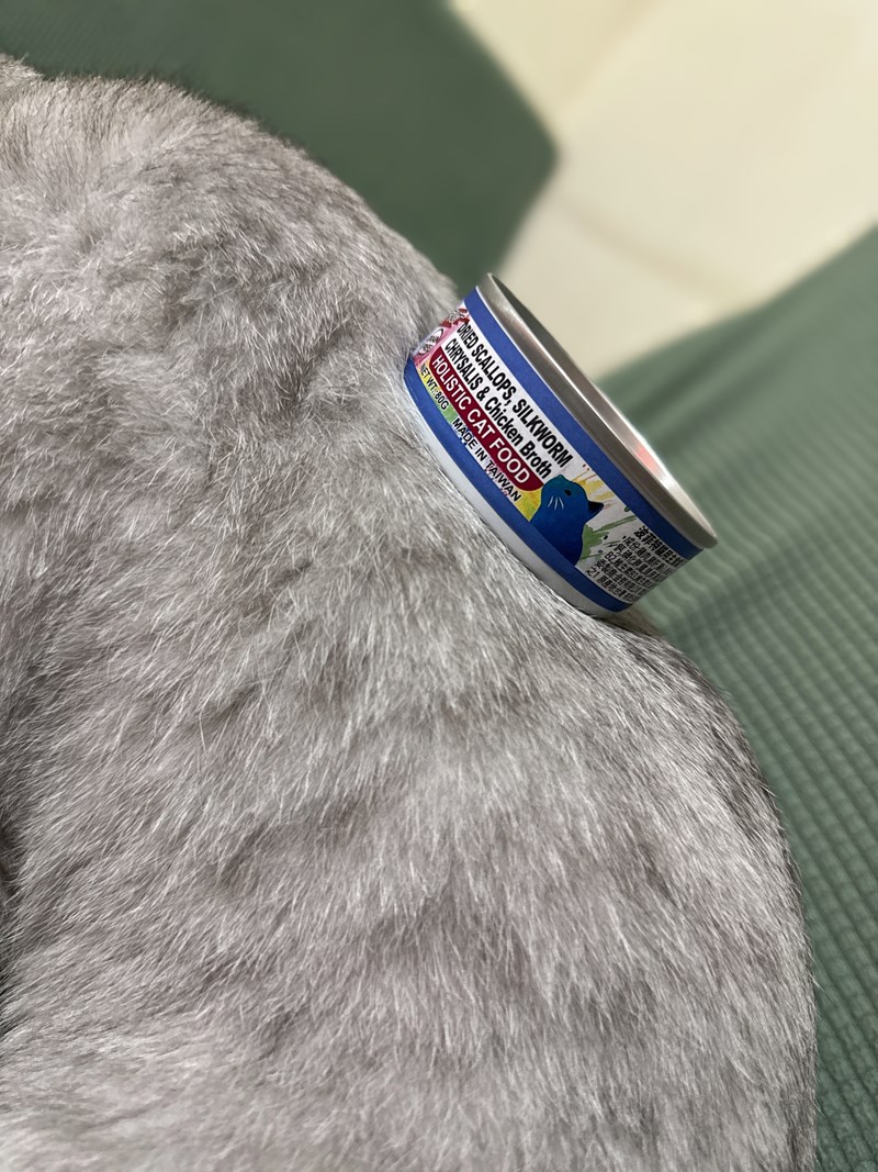 女人知己試用大隊,口碑行銷,部落客行銷,PURRFACT 波菲特貓用主食罐,主食罐,PURRFACT波菲特,貓主食罐,貓罐,PURRFACT波菲特貓用主食罐,魚肉蔓越莓主食罐,鮮嫩雞主食罐,鹿肉雞肉主食罐,牛肉鵪鶉貓主食罐,干貝蠶蛹配方,鱷魚肉白木耳配方,雞肉魚肉配方,安心鶉配方,評價,體驗,適口性佳,心得,成貓適用,高齡貓適用,質地是慕絲狀